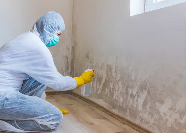 mold remediation Austin