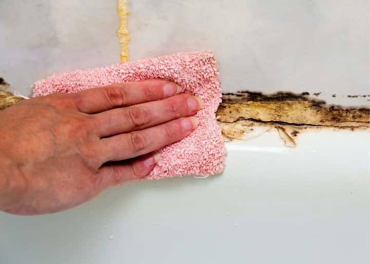 mold remediation Austin