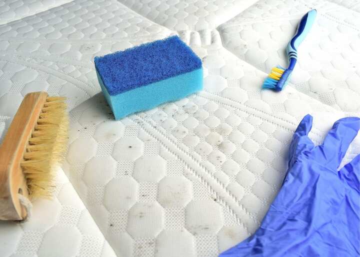 mold inspector austin