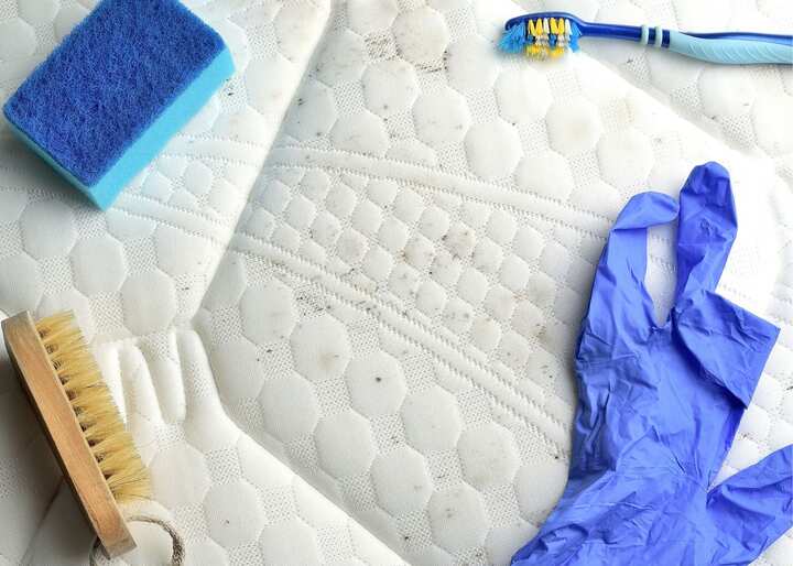 mold remediation Austin